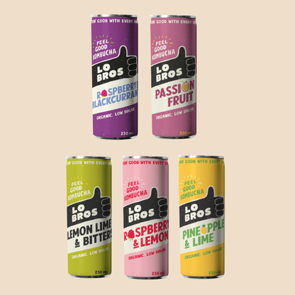 Lo Bros Kombucha 250ml Variety